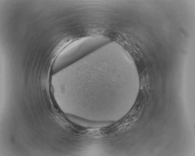 X0000115330052200912141227