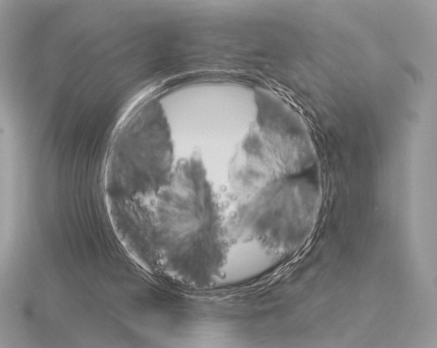 X0000115330053200912141227