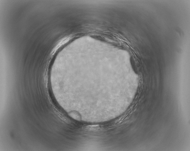 X0000115330054200912141227