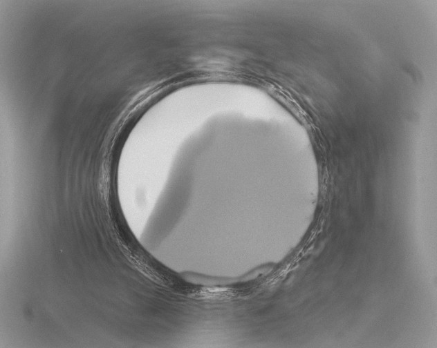 X0000115330055200912141227