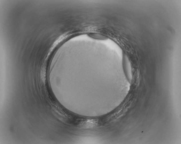 X0000115330056200912141227