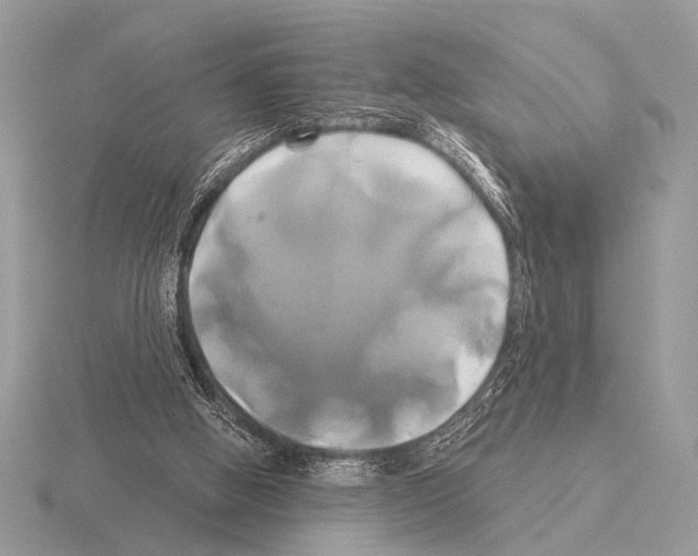 X0000115330058200912141227