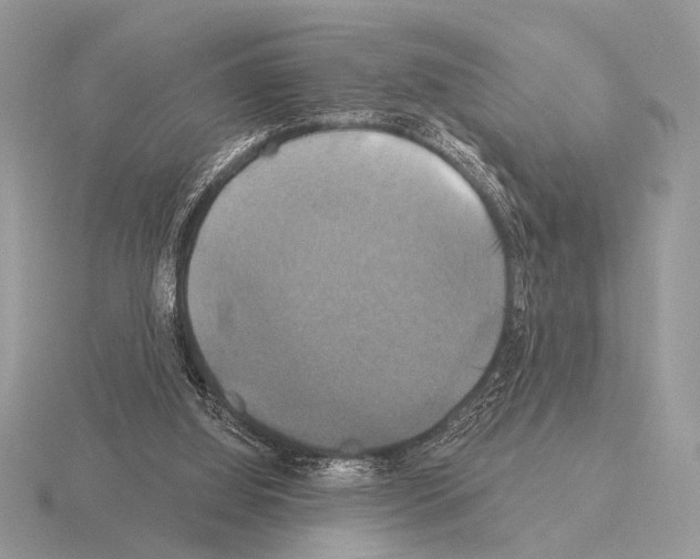 X0000115330060200912141227