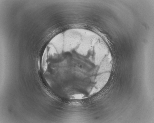 X0000115330061200912141227