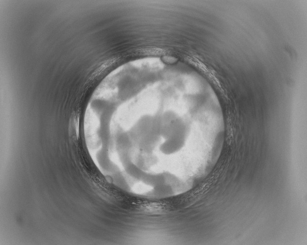 X0000115330062200912141227