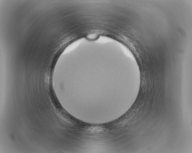 X0000115330063200912141227