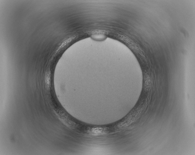 X0000115330064200912141227