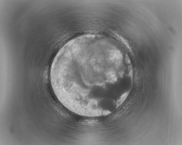 X0000115330065200912141228