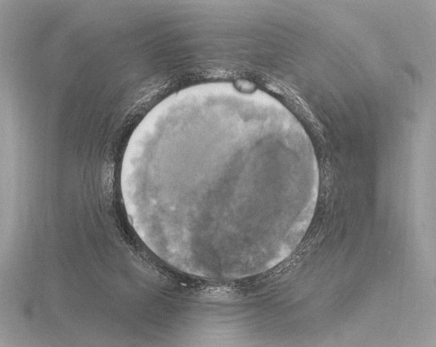 X0000115330066200912141228