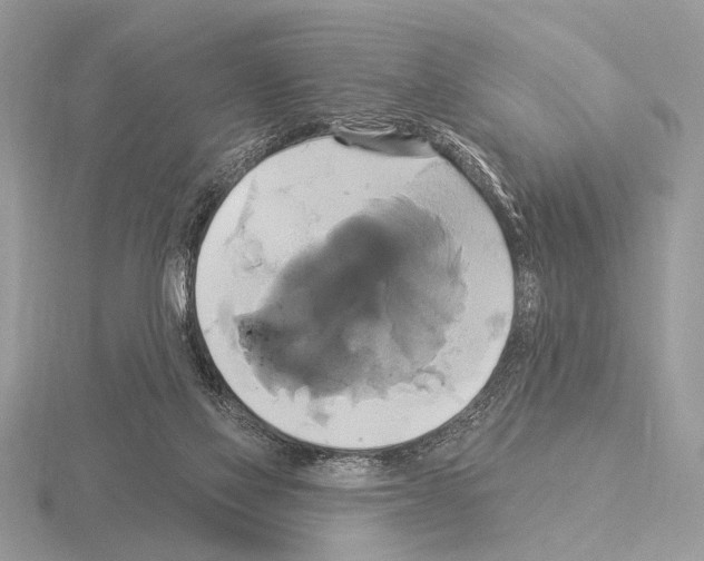 X0000115330069200912141228