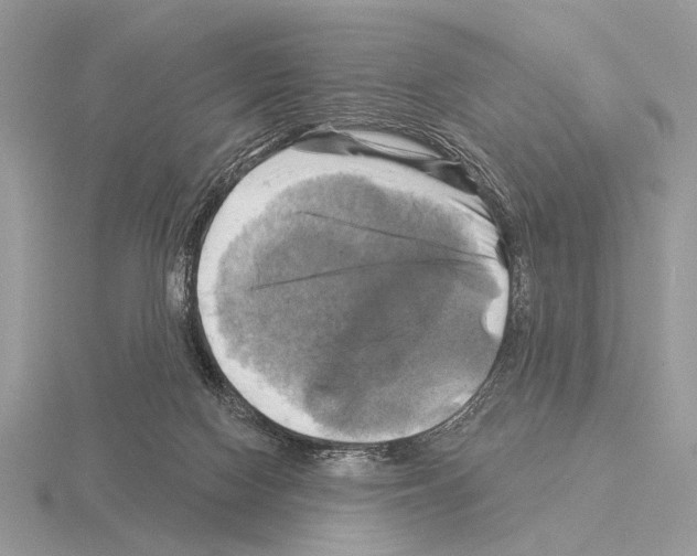 X0000115330074200912141228