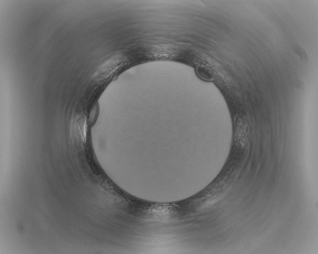 X0000115330076200912141228