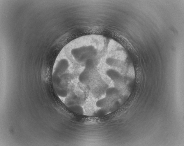 X0000115330077200912141228