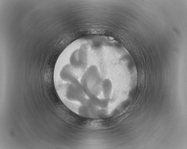 X0000115330078200912141228