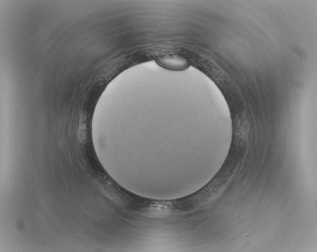 X0000115330080200912141228