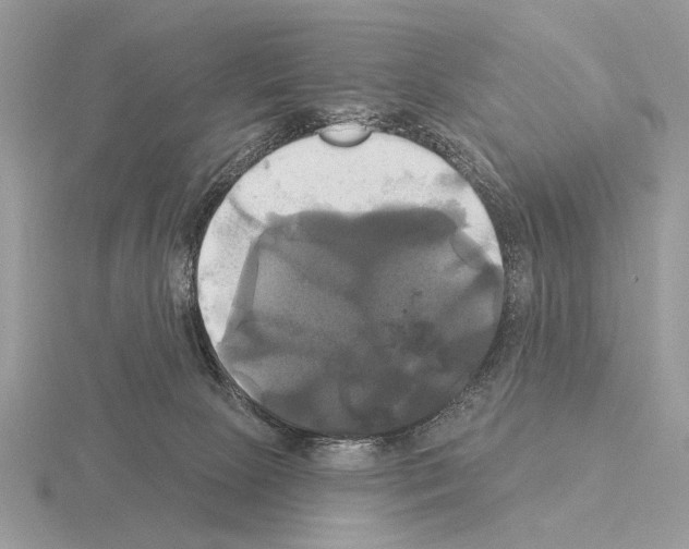 X0000115330081200912141228