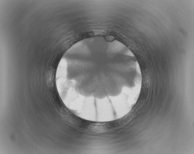 X0000115330082200912141228