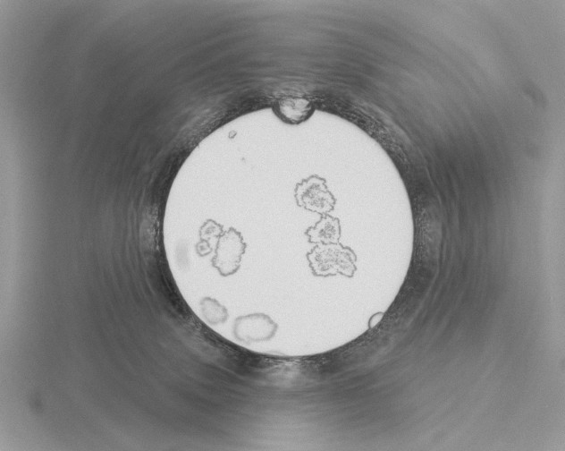 X0000115330083200912141228