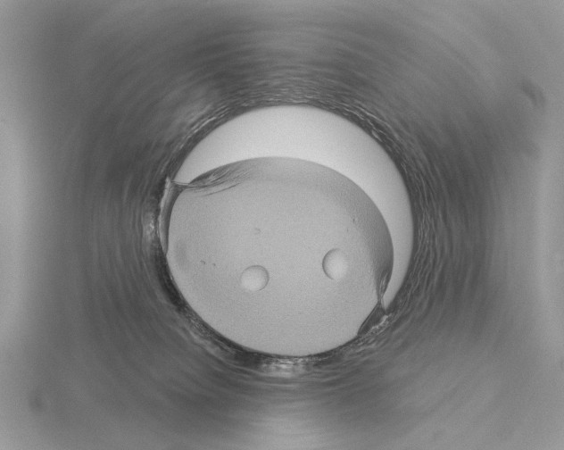 X0000115330084200912141228