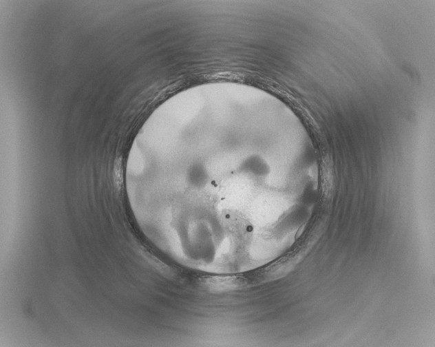 X0000115330085200912141228