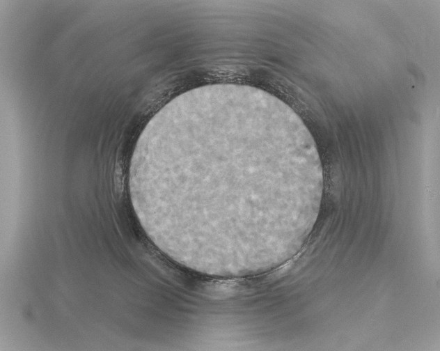 X0000115330086200912141228