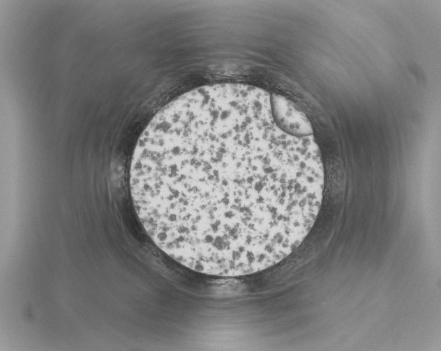 X0000115330087200912141228