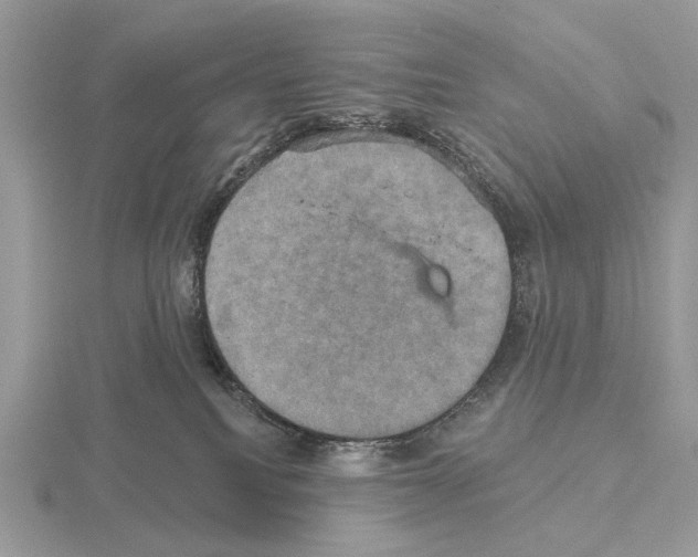 X0000115330088200912141228