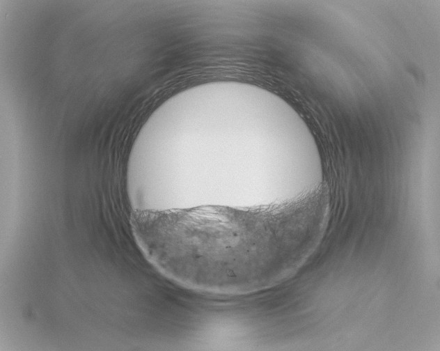 X0000115330089200912141228