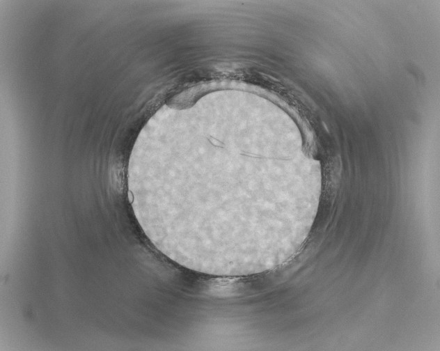 X0000115330090200912141228