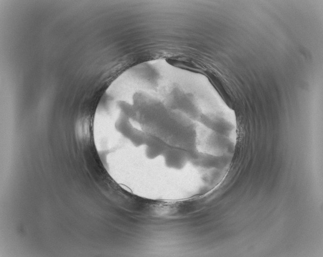 X0000115330094200912141228