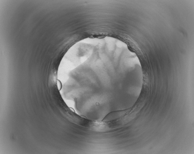 X0000115330095200912141228