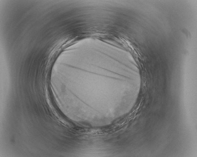 X0000115330097200912141227