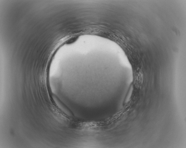 X0000115330100200912141227