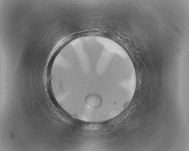 X0000115330102200912141227