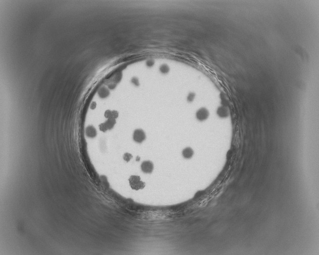 X0000115330103200912141227