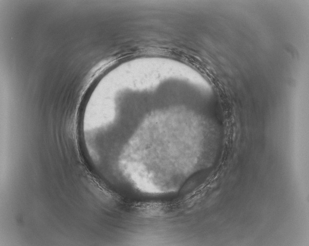 X0000115330104200912141227