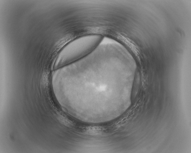 X0000115330105200912141227