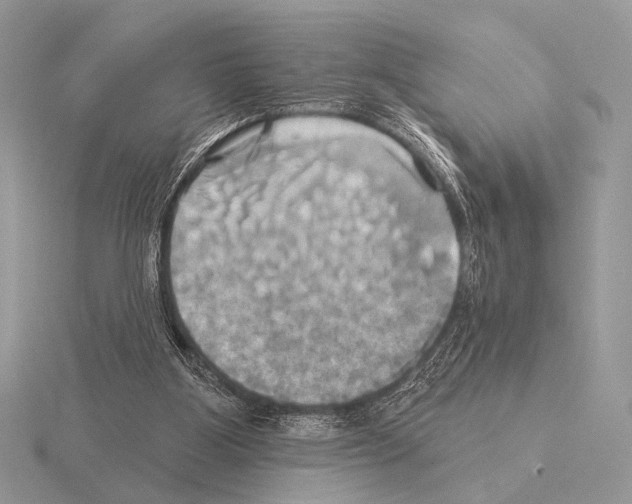 X0000115330107200912141227