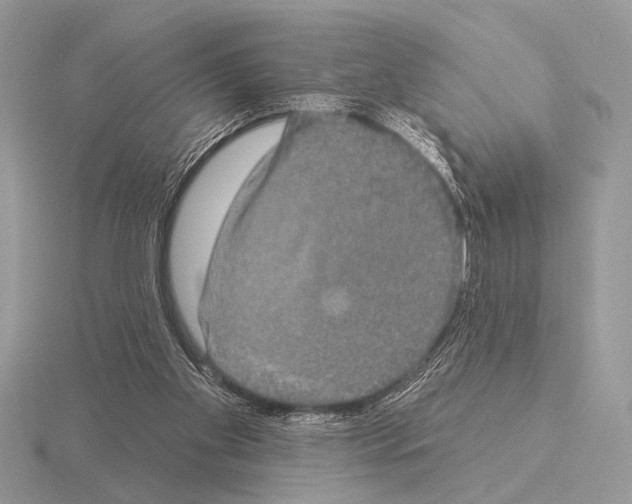 X0000115330109200912141227