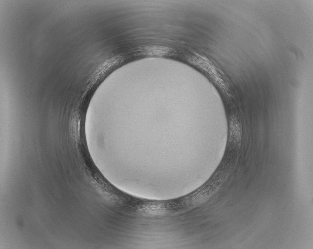 X0000115330110200912141227