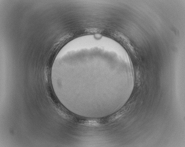 X0000115330114200912141227