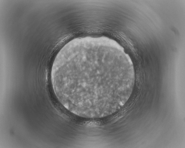 X0000115330115200912141227