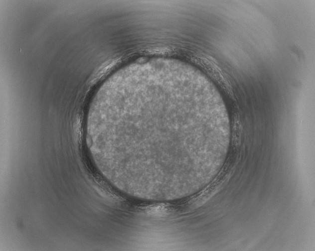 X0000115330116200912141227