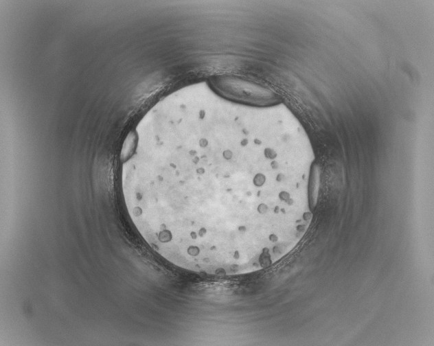 X0000115330120200912141227