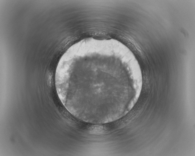 X0000115330123200912141227