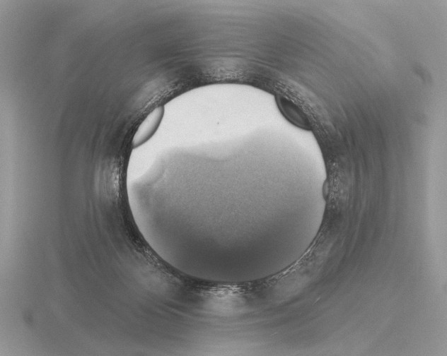 X0000115330124200912141227