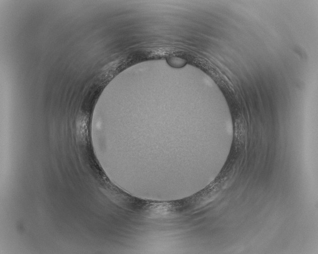 X0000115330127200912141227