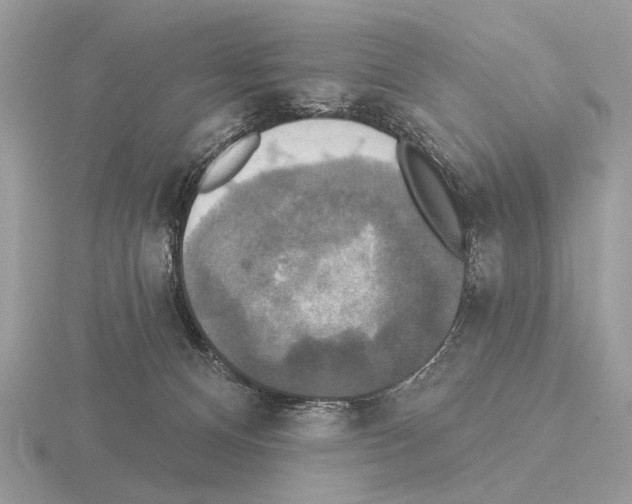 X0000115330128200912141227