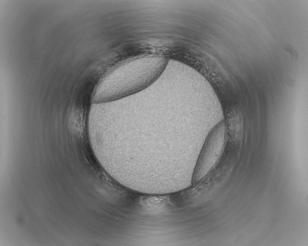 X0000115330129200912141227