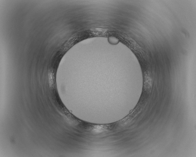 X0000115330130200912141227